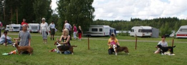 Helena & Wiki 2.koht